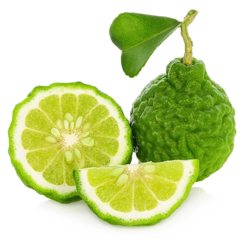 bergamot.jpg (95 KB)