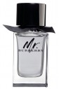 Mr. Burberry - Burberry