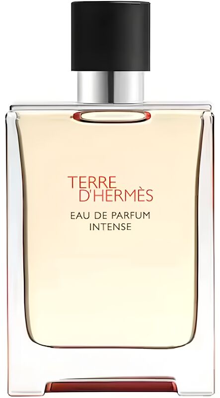 Terre d’Hermes Intense - 1