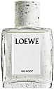 Iris Root - Loewe