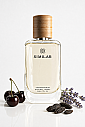 SAS HOMME IXORIA - Similar