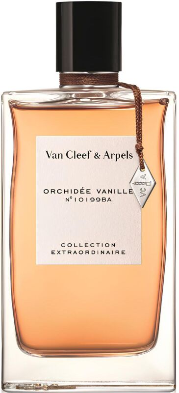 Orchidee Vanille - 1